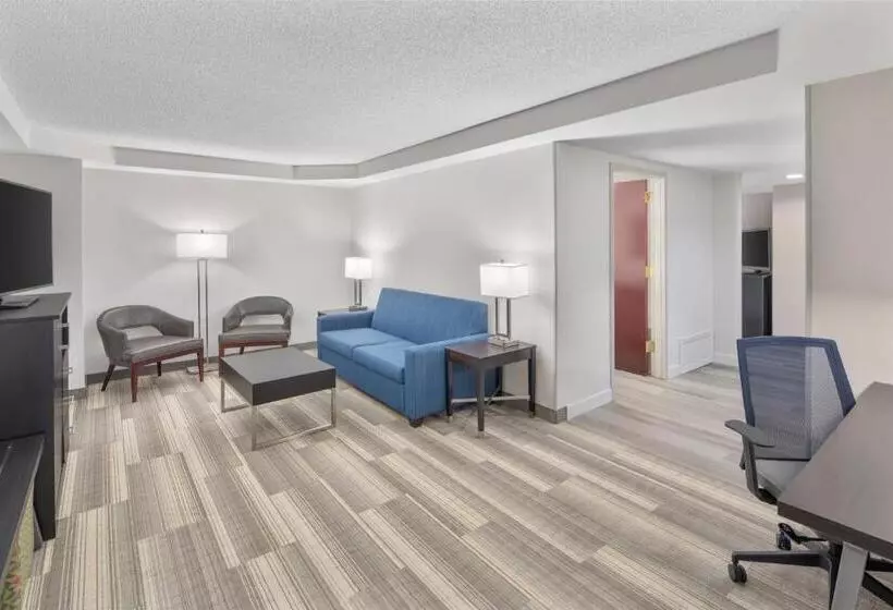 سوئیت مدیریتی 2 خوابه, Holiday Inn Express Hotel & Suites Greenville I 85 & Woodruff Road, An Ihg