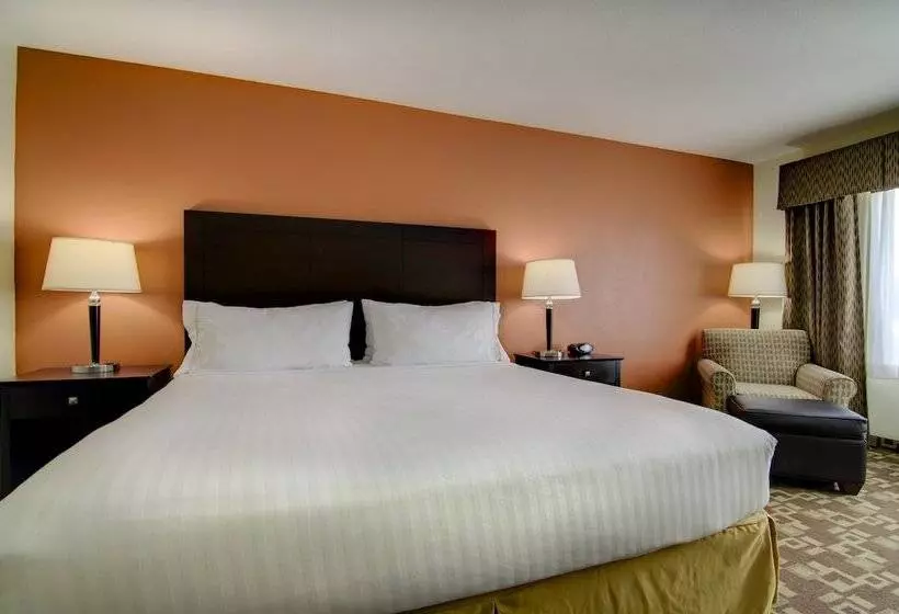 スタンダードルーム, Holiday Inn Express Hotel & Suites Kansas City Sports Complex, An Ihg