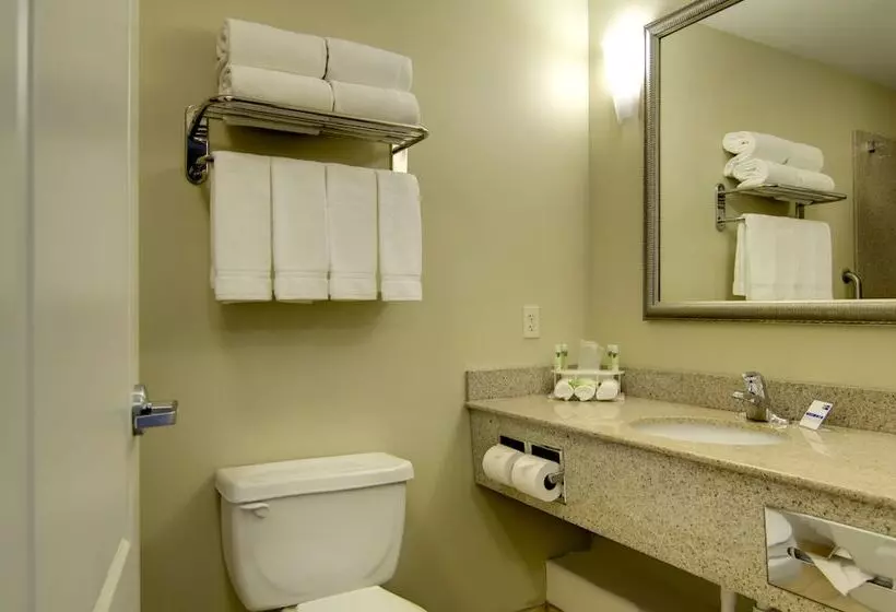 スイート, Holiday Inn Express Hotel & Suites Kansas City Sports Complex, An Ihg