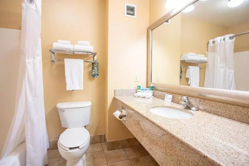 Standard-huone King-vuode, Holiday Inn Express Hotel & Suites Richland