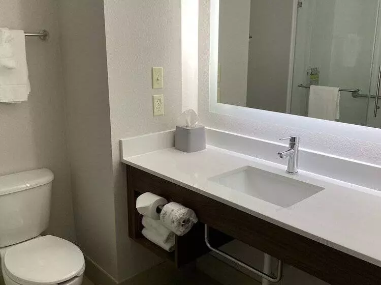 スタンダードルーム, Holiday Inn Express Hotel & Suites Weston, An Ihg