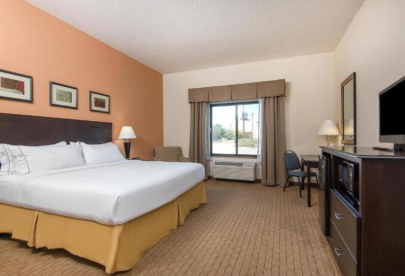 Стандартный Номер Кровать Кинг, Holiday Inn Express And Suites Lafayette East, An Ihg