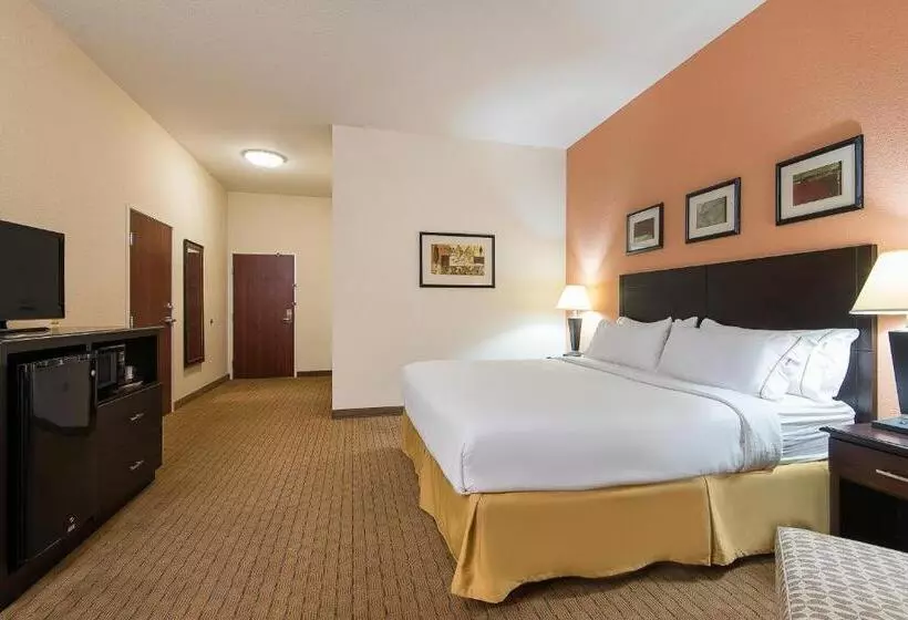 身障者適用キングサイズベッドルーム, Holiday Inn Express And Suites Lafayette East, An Ihg