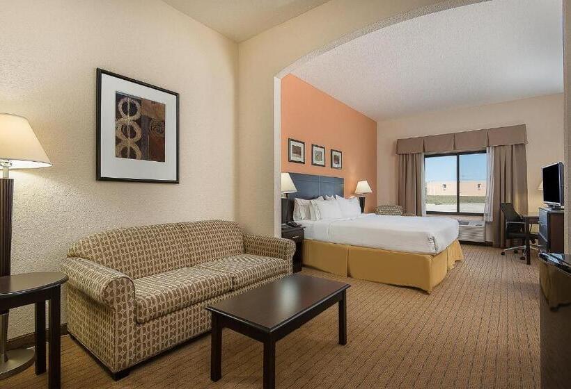 جناح لذوى الاحتياجات الخاصة, Holiday Inn Express And Suites Lafayette East, An Ihg