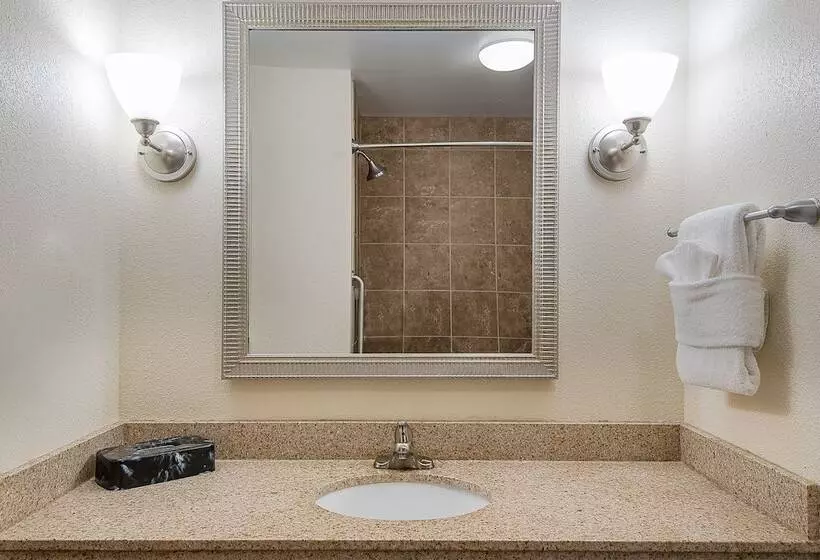 スタンダードルーム, Holiday Inn Express And Suites Lafayette East, An Ihg