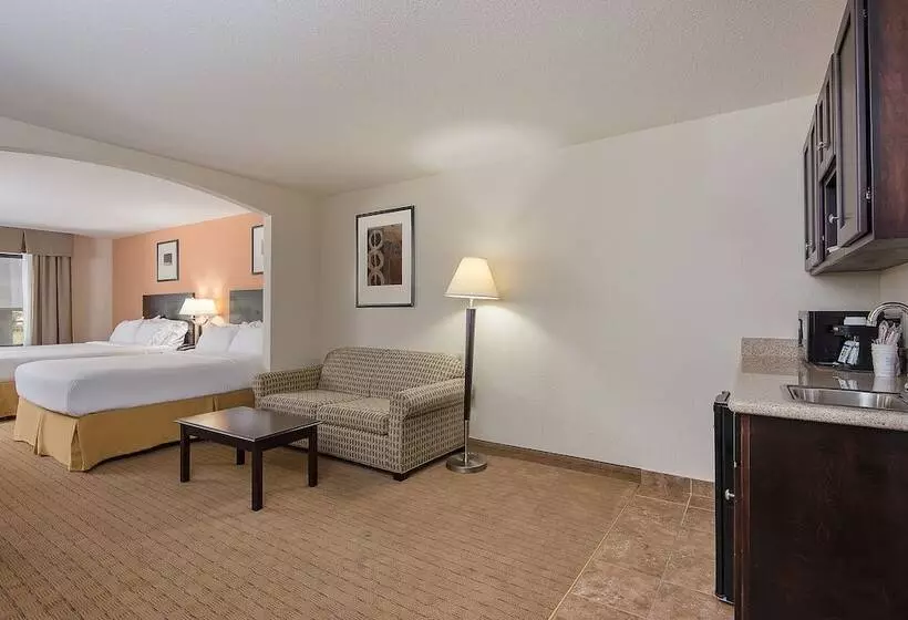 スイート, Holiday Inn Express And Suites Lafayette East, An Ihg
