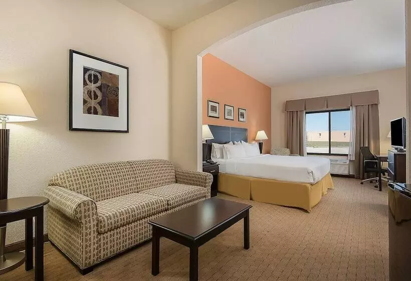 身障者適用スイートルーム, Holiday Inn Express And Suites Lafayette East, An Ihg