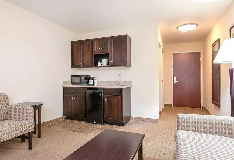 身障者適用スイートルーム, Holiday Inn Express And Suites Lafayette East, An Ihg
