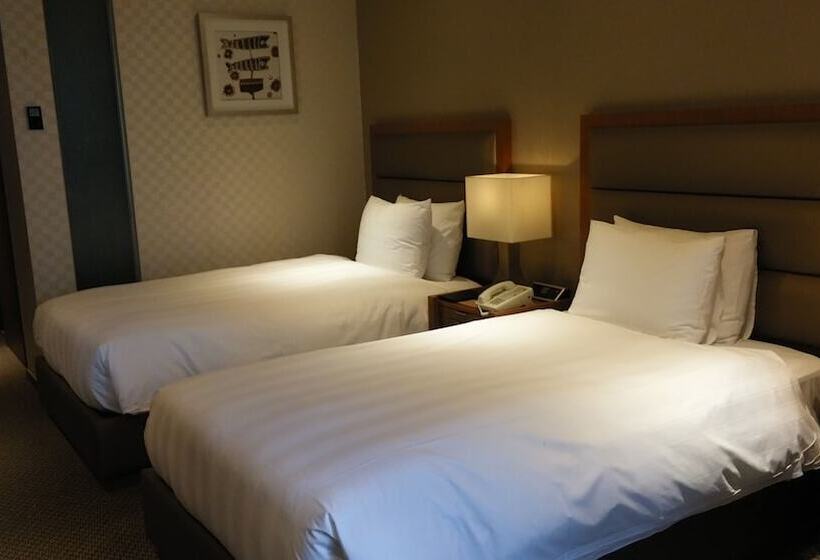 Camera Deluxe, Lotte City Hotel Mapo