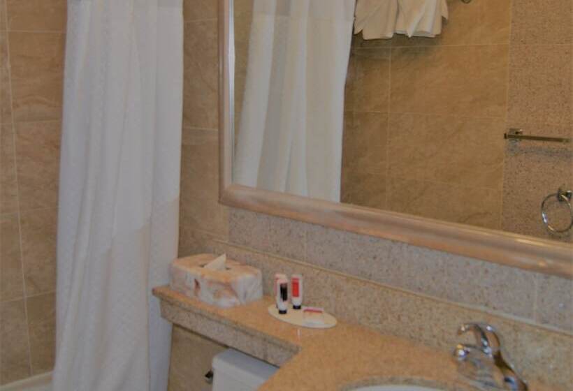 Номер Стандарт 2 Двуспальные Кровати, Royal Stay