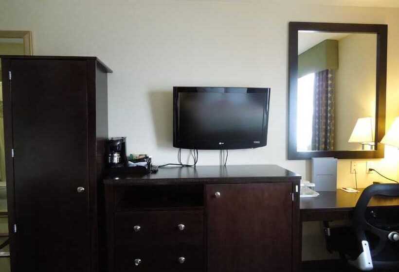 غرفه قياسيه سريرين مزدوجين, Royal Stay