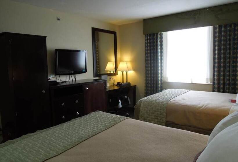 غرفه قياسيه سريرين مزدوجين, Royal Stay