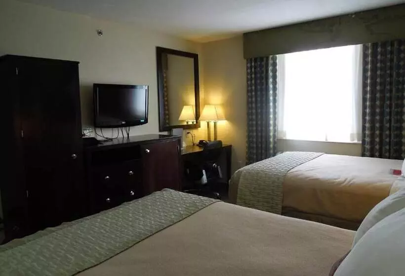 اتاق استاندارد با 2 تخت دوبل, Royal Stay