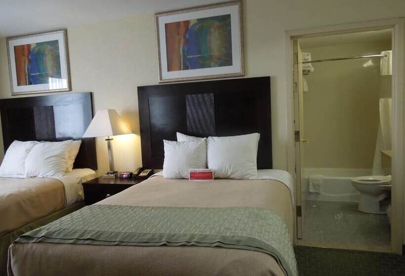 غرفه قياسيه سريرين مزدوجين, Royal Stay