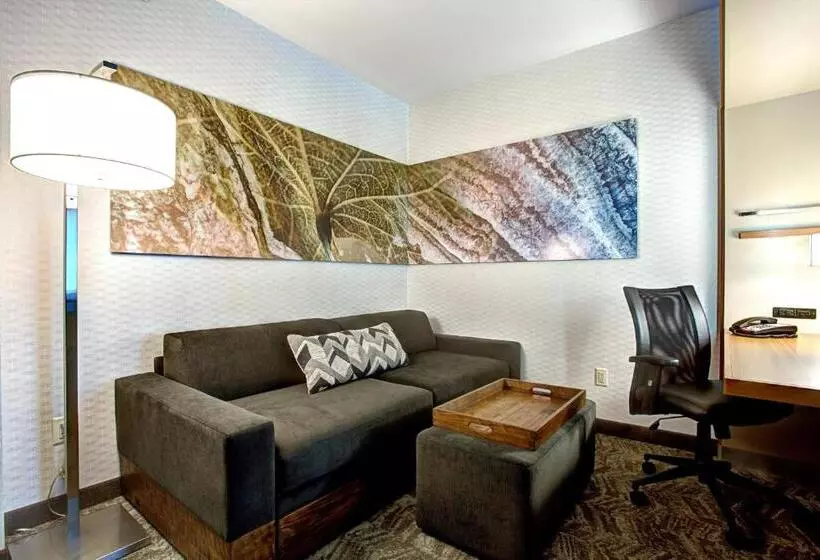 キングサイズベッドのスタンダードルーム, Springhill Suites Harrisburg Hershey