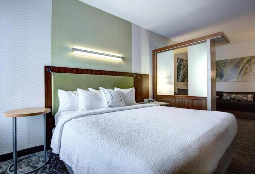 带大床的标准间, Springhill Suites Harrisburg Hershey