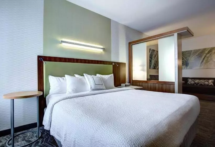 キングサイズベッドのスタンダードルーム, Springhill Suites Harrisburg Hershey