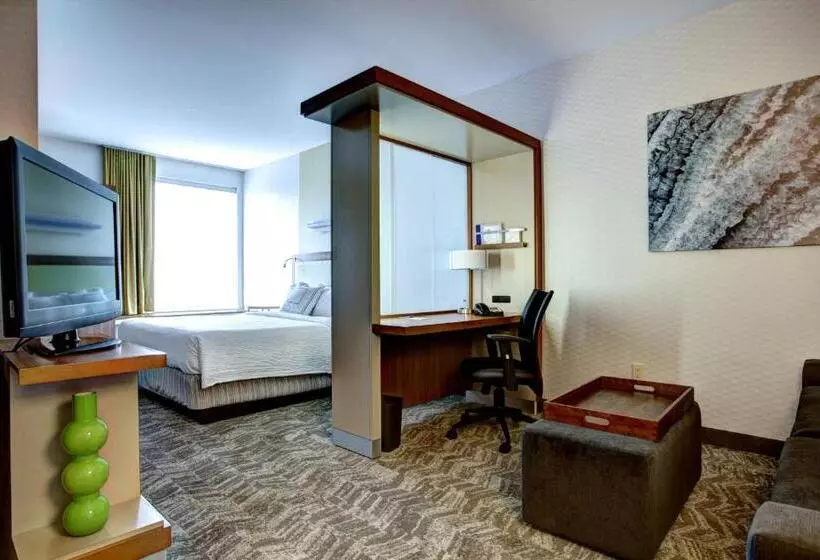 キングサイズベッドのスタンダードルーム, Springhill Suites Harrisburg Hershey