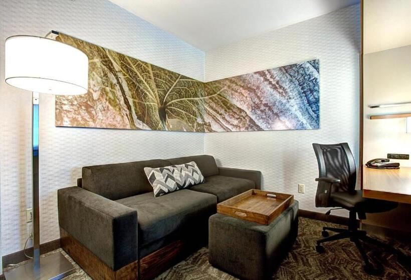 标准间, Springhill Suites Harrisburg Hershey