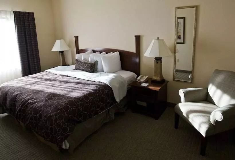 ２ベッドスイートルーム, Staybridge Suites San Antonio Sea World, An Ihg