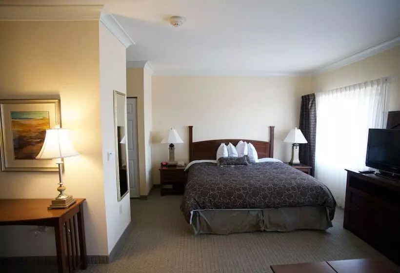 スタンダードスタジオ, Staybridge Suites San Antonio Sea World, An Ihg
