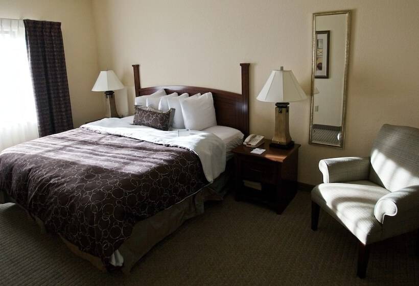 套房, Staybridge Suites San Antonio Sea World, An Ihg