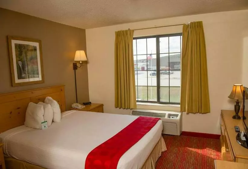 اتاق استاندارد با تخت بزرگ, Summerset Hotel And Suites Rapid City West