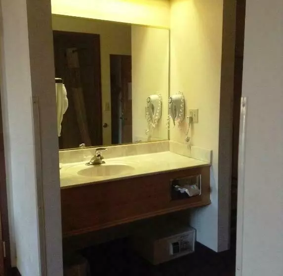 اتاق استاندارد با تخت بزرگ, Summerset Hotel And Suites Rapid City West