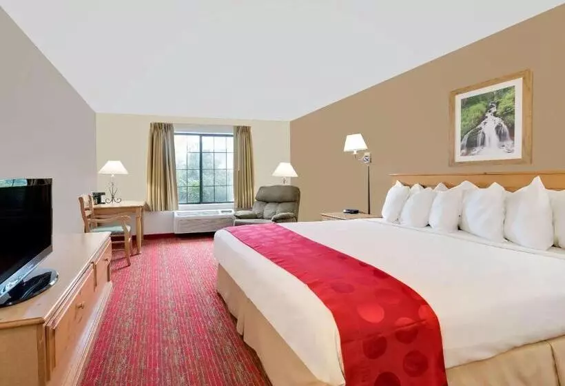 اتاق استاندارد با تخت بزرگ, Summerset Hotel And Suites Rapid City West