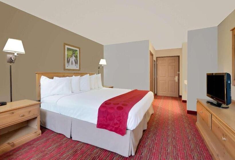 חדר סטנדרט עם מיטת קינג, Summerset Hotel And Suites Rapid City West