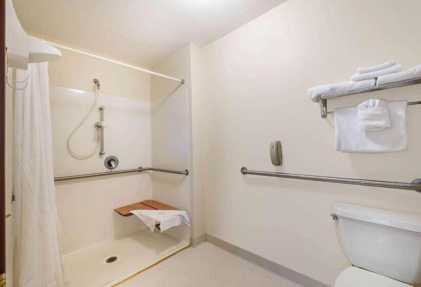 חדר סטנדרט עם מיטת קינג, Summerset Hotel And Suites Rapid City West