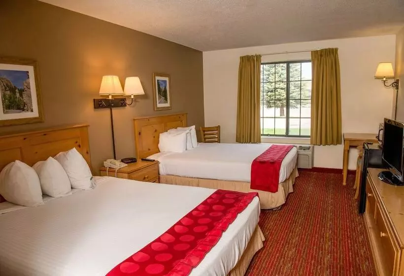 اتاق استاندارد, Summerset Hotel And Suites Rapid City West