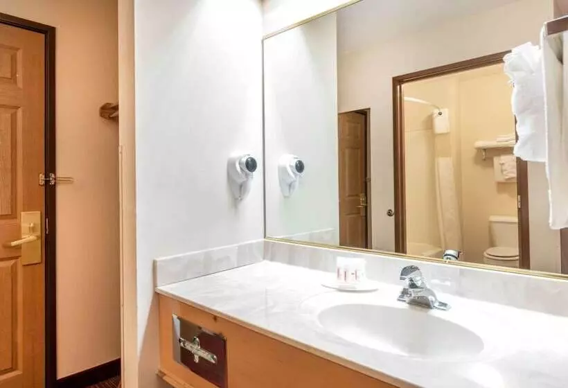 اتاق استاندارد, Summerset Hotel And Suites Rapid City West