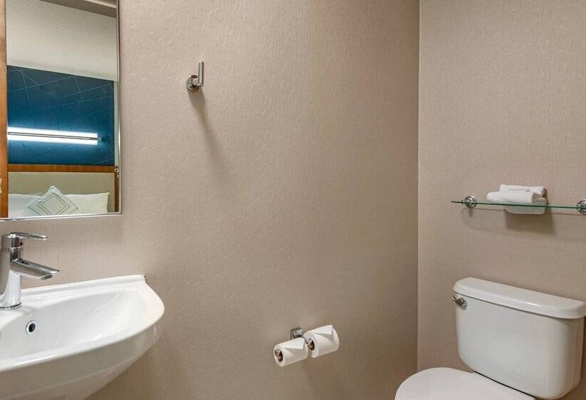 إستوديو قياسى, Springhill Suites Vero Beach