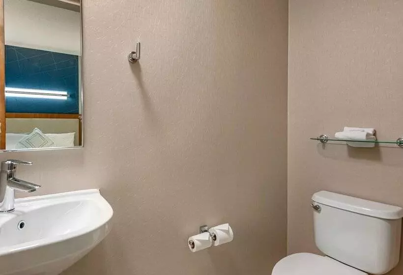 スタンダードスタジオ, Springhill Suites Vero Beach