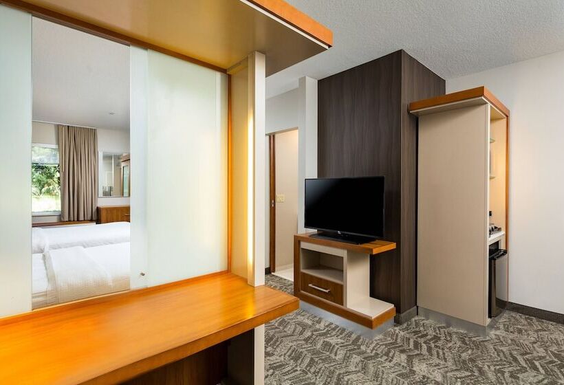إستوديو قياسى, Springhill Suites Vero Beach
