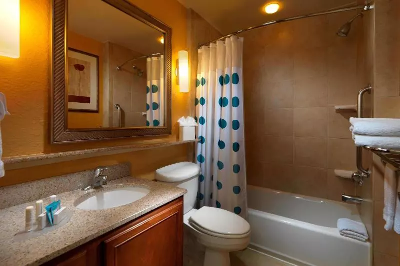 キングサイドベッドのスタンダードワンルーム, Towneplace Suites Houston Intercontinental Airport