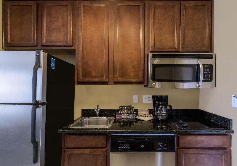 带大床的标准工作室, Towneplace Suites Houston Intercontinental Airport