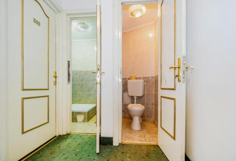 اتاق استاندارد یک تخته با سرویس بهداشتی مشترک, Carpati Imparatul Romanilor