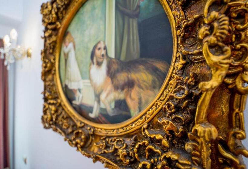 سوییت سوپریور, Carpati Imparatul Romanilor