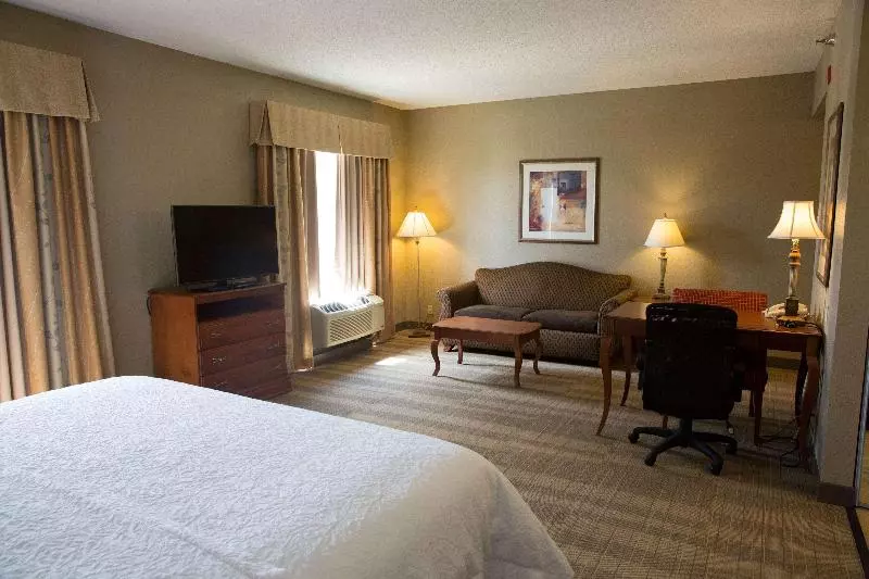 キングサイドベッドのスタンダードワンルーム, Hampton Inn & Suites Grenada