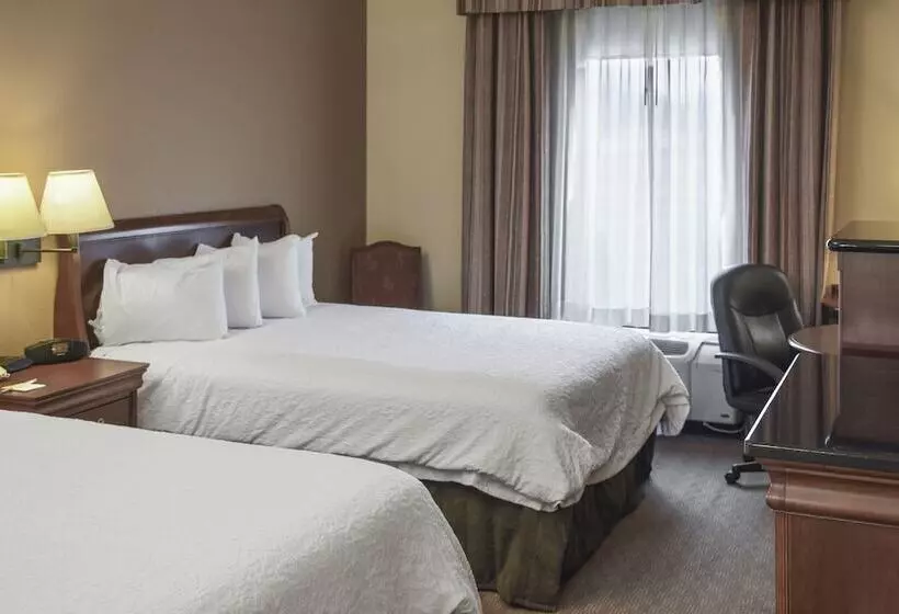スタンダードルーム, Hampton Inn & Suites Youngstown Canfield
