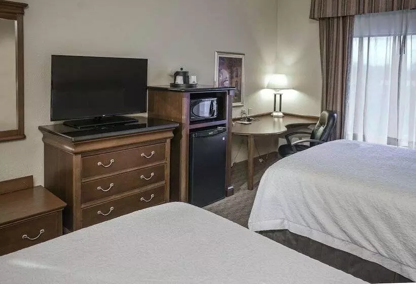 スタンダードルーム, Hampton Inn & Suites Youngstown Canfield