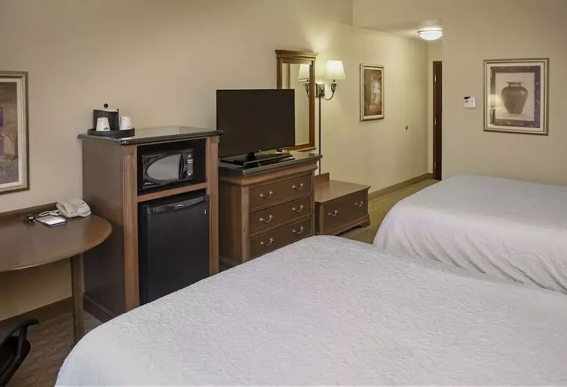 スタンダードルーム, Hampton Inn & Suites Youngstown Canfield
