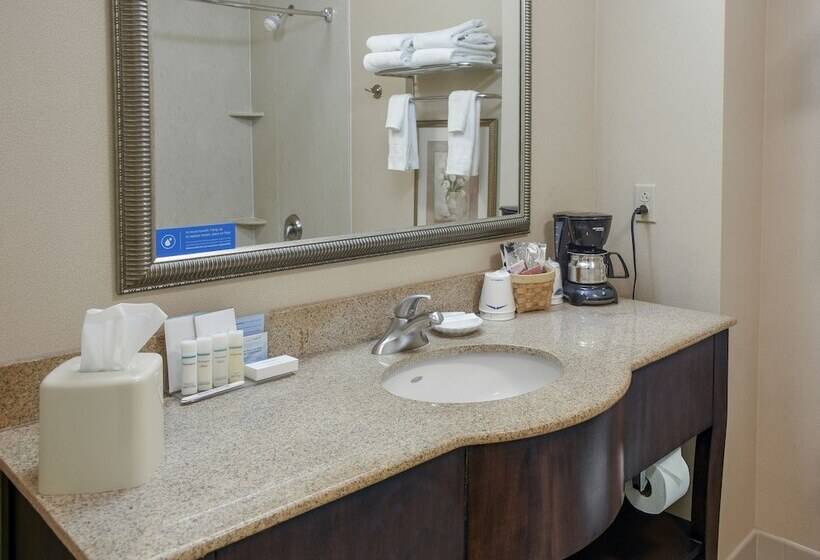 스탠다드 룸, Hampton Inn & Suites Youngstown Canfield