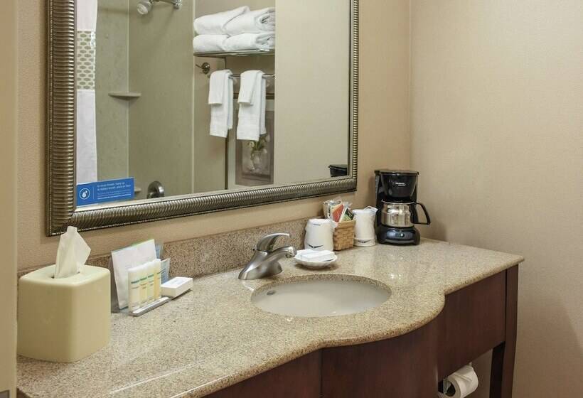 스탠다드 룸, Hampton Inn & Suites Youngstown Canfield