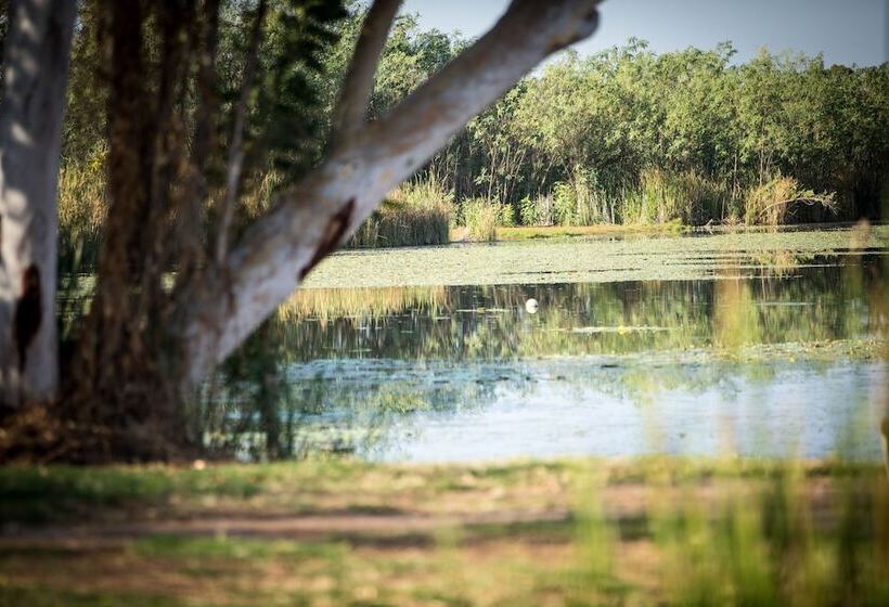 اتاق استاندارد, Lily Lagoon Resort