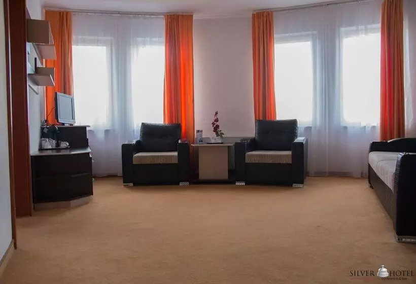 Apartament Superior 1 Sypialnia, Silver