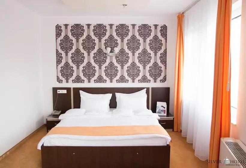 Apartament Superior 1 Sypialnia, Silver