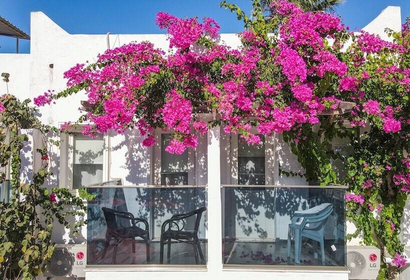 غرفة سوبيريور, The Hello